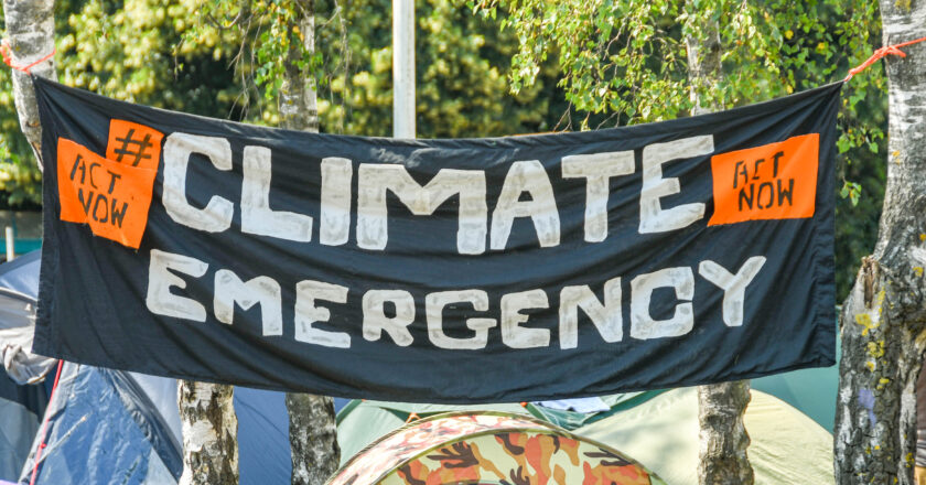 Carbon Offsets Industry Set to Soar from Carbon Neutrality Market Orientation